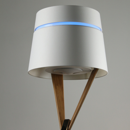 F L A P - Floor Lamp Air Purification.