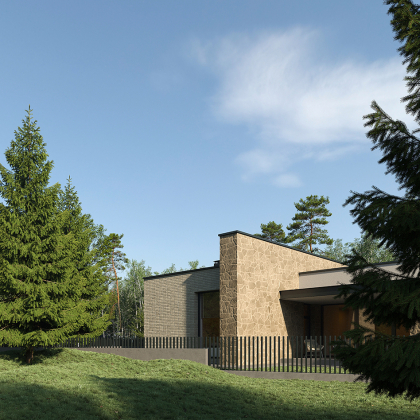 Янтарный бор