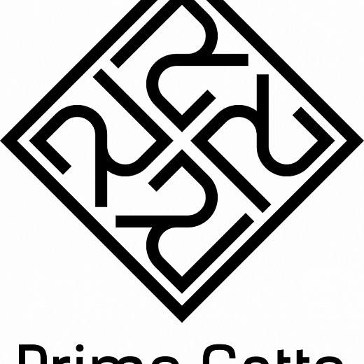 Primo Gatto