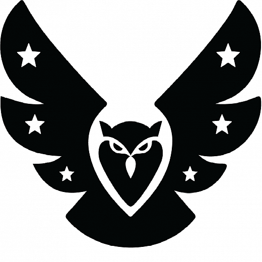 Андрей Решетин (Black Owl)