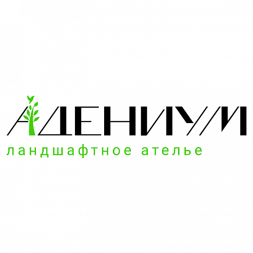 Анастасия Голюкова